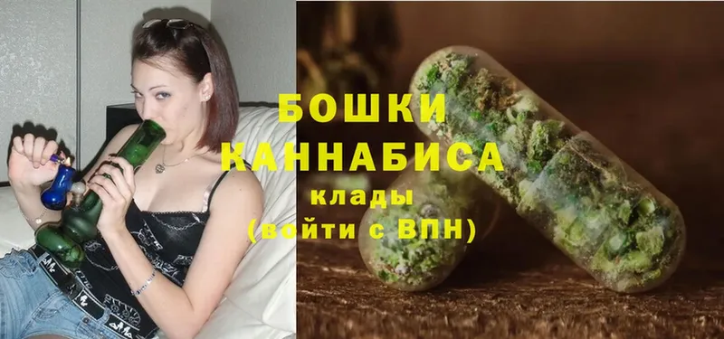 Шишки марихуана SATIVA & INDICA  наркотики  Гвардейск 